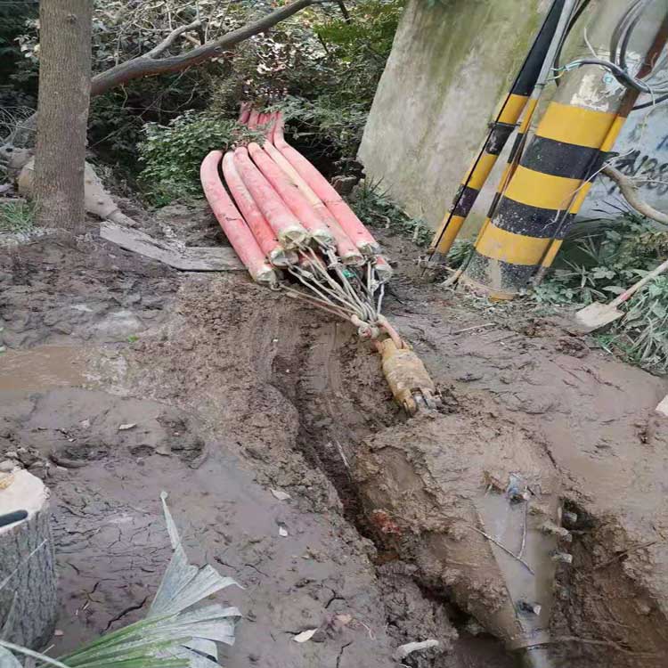 德宏武汉焊接涂装线拖拉管